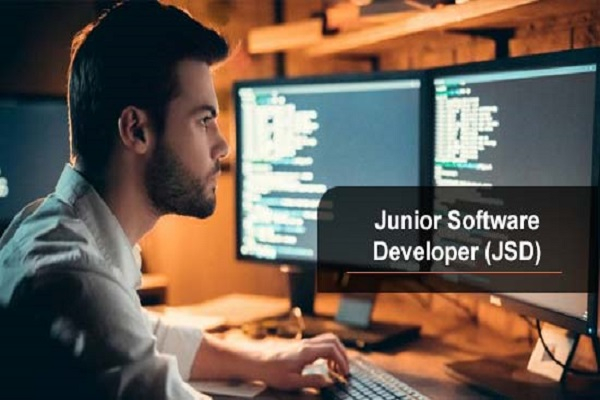 Junior Software Developer