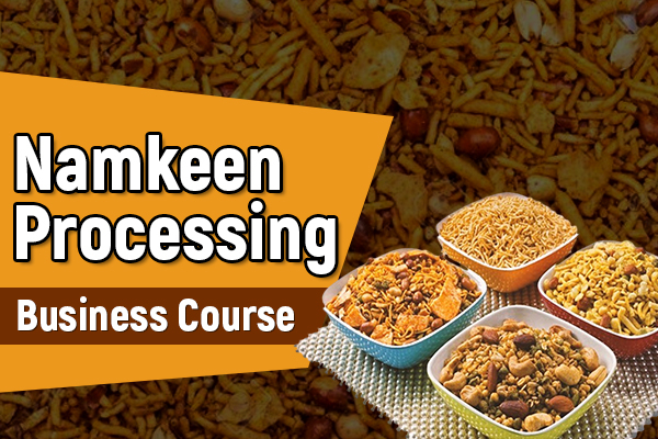 Namkeen Processing Technology